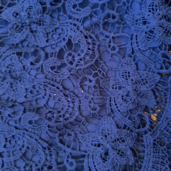 Royal Blue Lace Shinestar Elastic Shorts (Size XL) - Picture 11 of 11